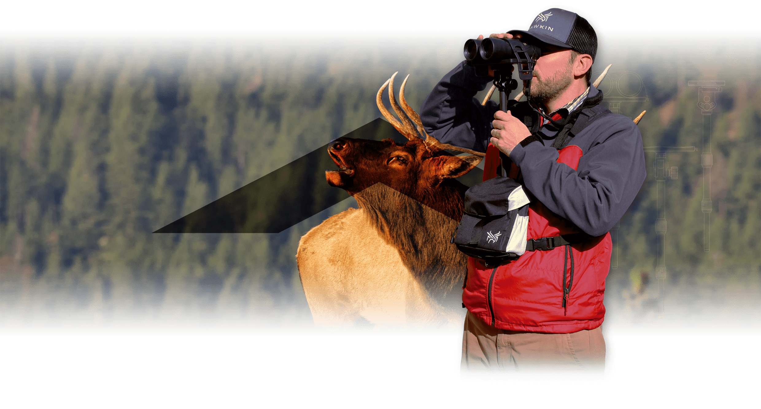 Homepage slide for Hawkin Wildlife - Billings, Montana