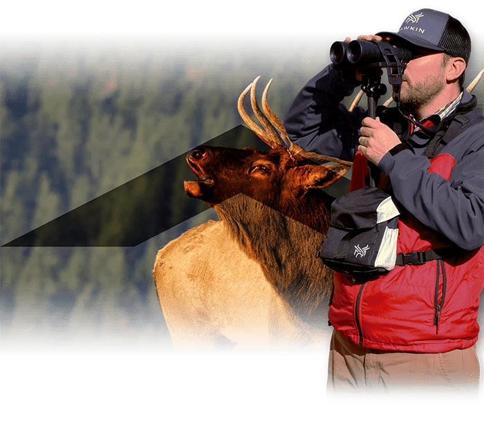 Homepage slide for Hawkin Wildlife - Billings, Montana