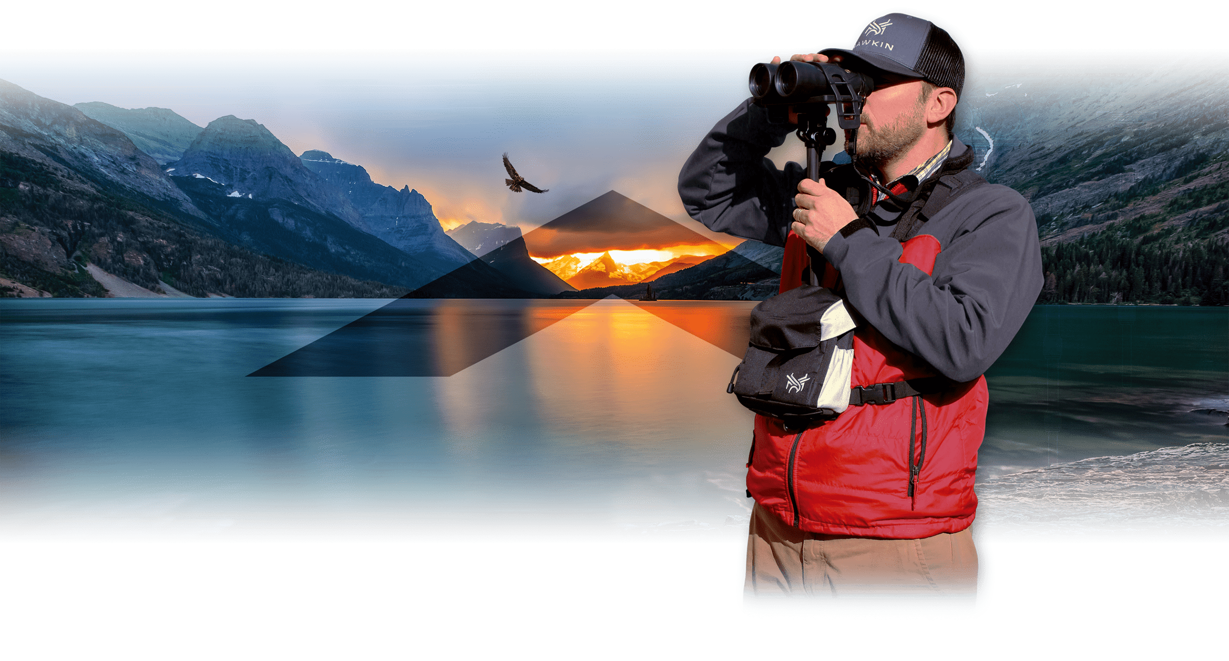 Homepage slide for Hawkin Wildlife - Billings, Montana
