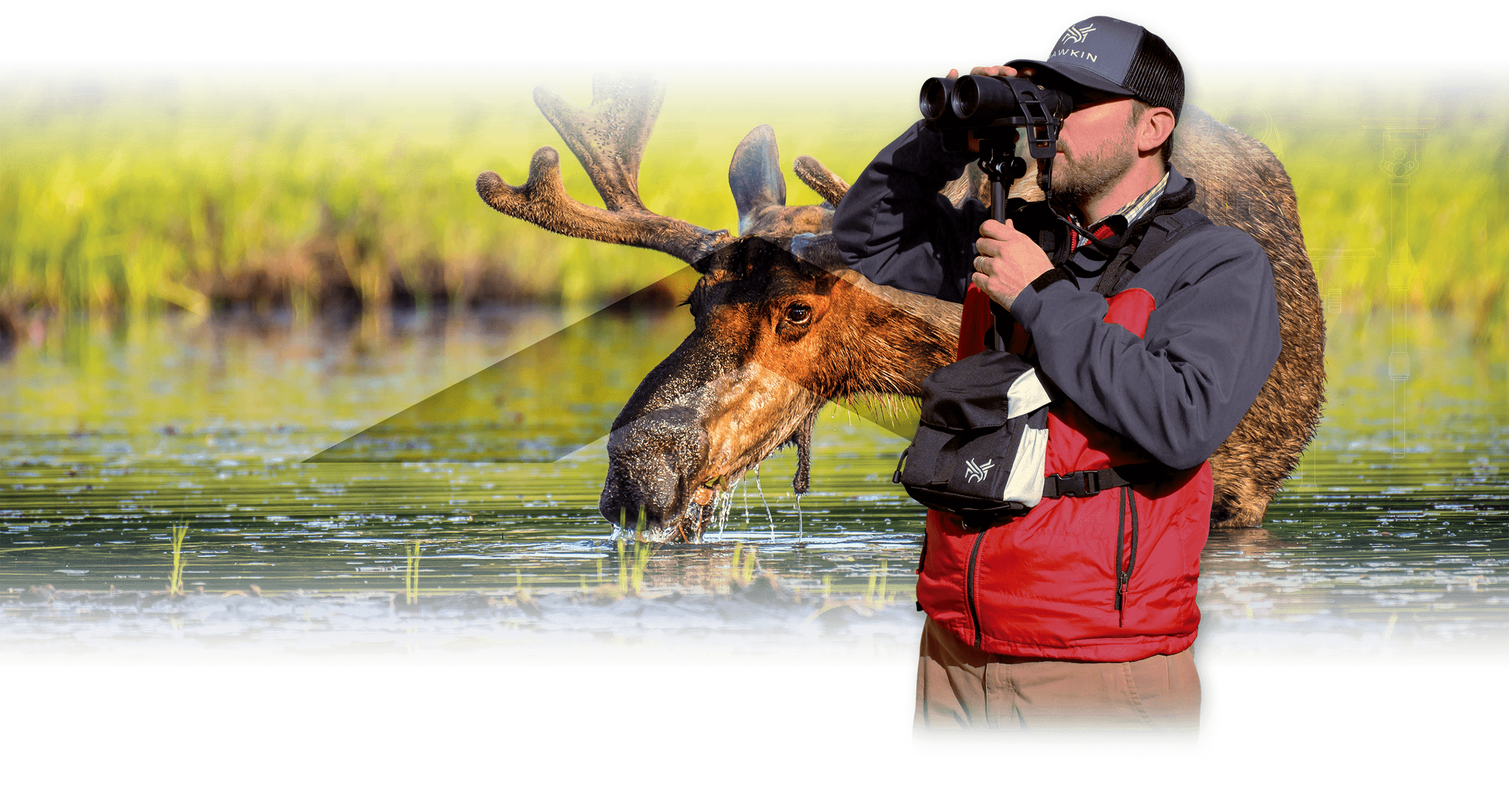 Homepage slide for Hawkin Wildlife - Billings, Montana